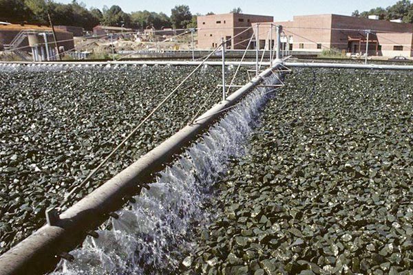 Agricultural-Wastewater-Treatment
